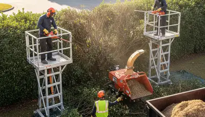 Shrub removal service in Royal Oak, MI for overgrown residential properties