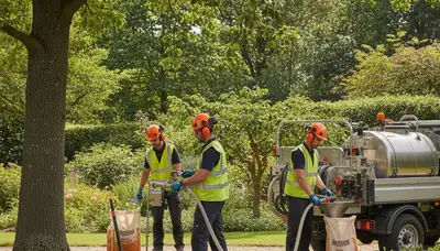 Professional tree fertilizing service in Royal Oak, MI by Arbor Tree Care