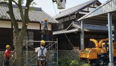 Tree service crew in Royal Oak, MI performing professional tree care on a residential property