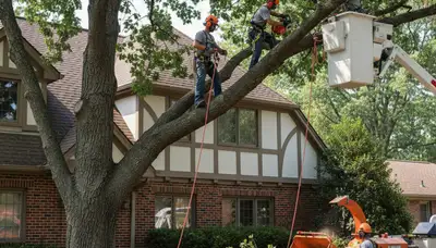 Tree service crew in Royal Oak, MI providing professional tree trimming and removal