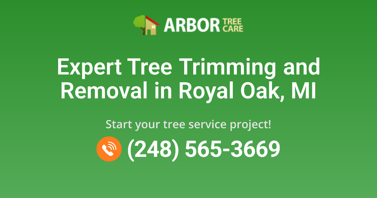 Tree Service Company in Royal Oak, MI | Arbor Tree Care