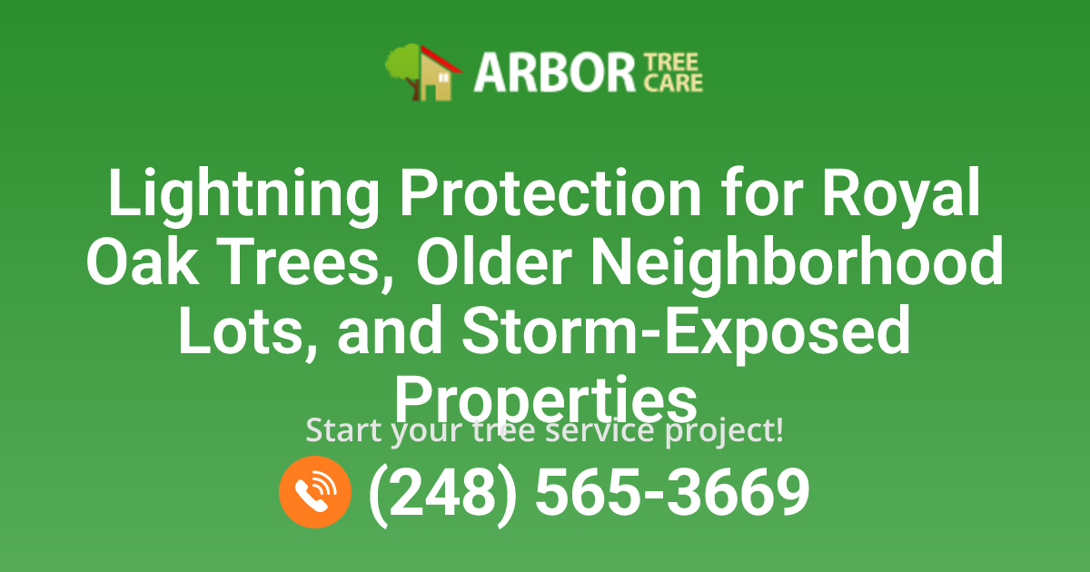 Royal Oak, MI Lightning Protection for Trees | Tree Service Royal Oak
