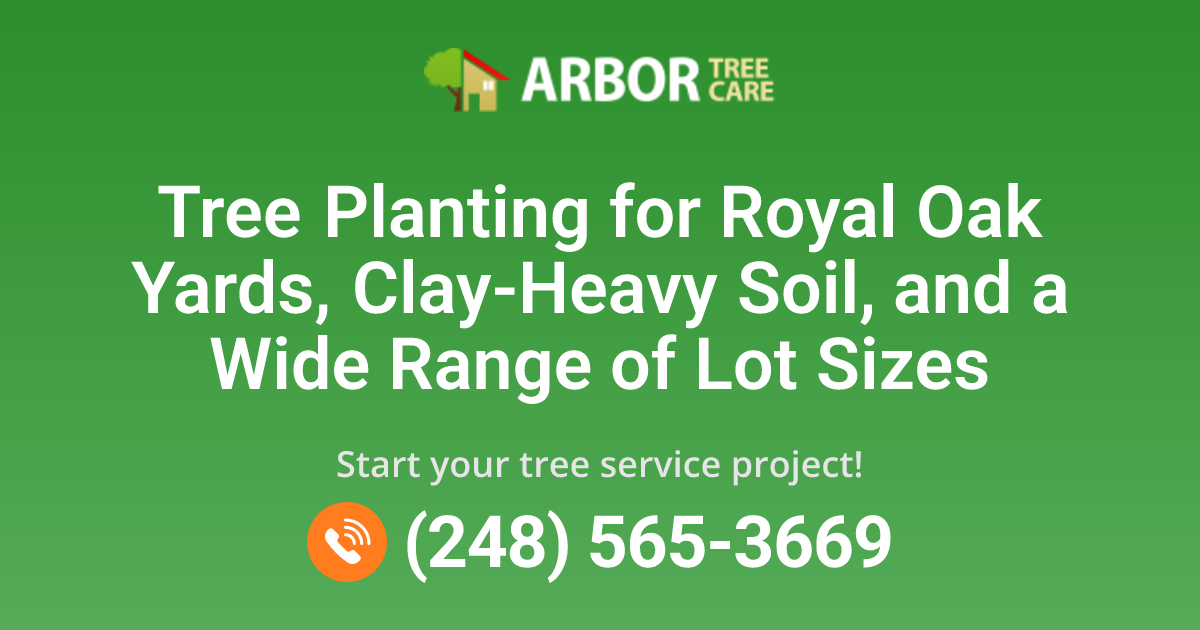 Tree Planting Services in Royal Oak, MI | Local Arborist Help