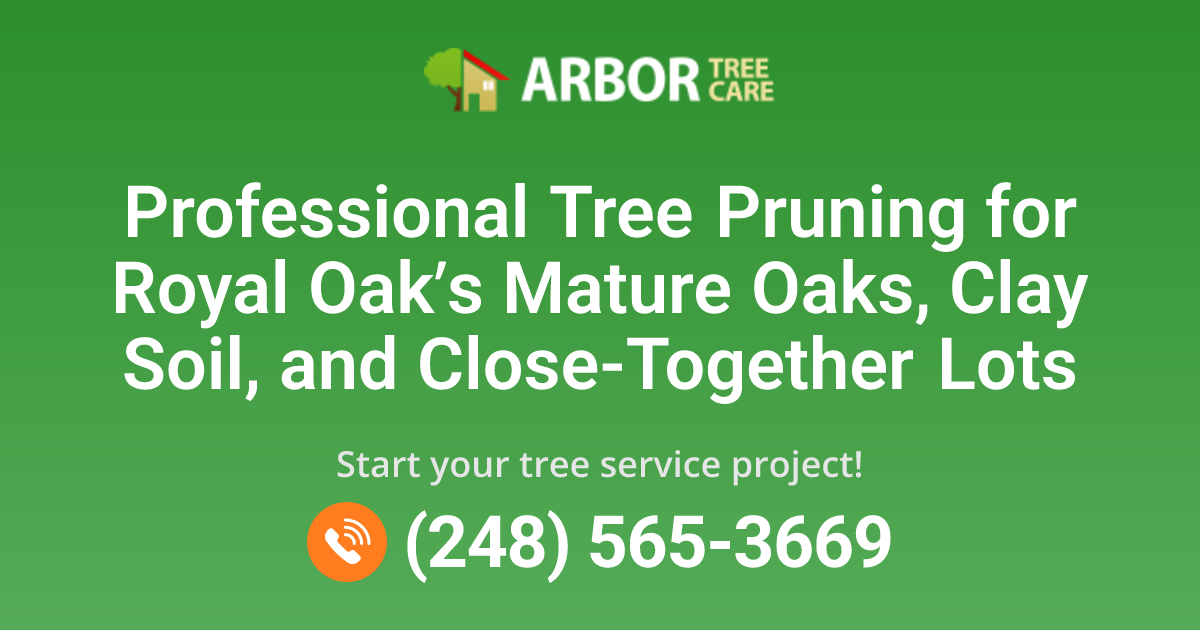 Royal Oak, MI Tree Pruning Services | Arbor Tree Care