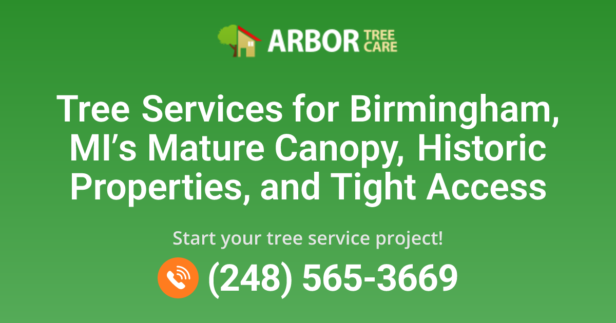 Birmingham, MI Tree Trimming, Removal & Care Services | Arbor Tree Care