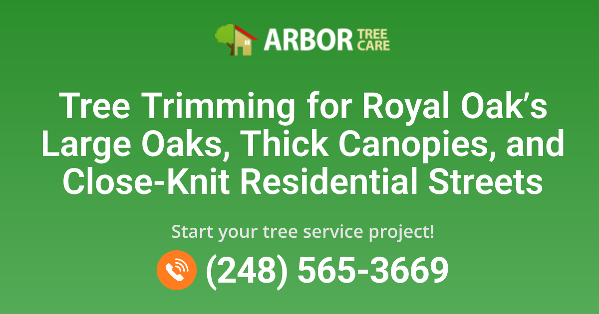 Tree Trimming Services in Royal Oak, MI | Arbor Tree Care